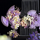 photo-2985728