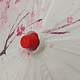 photo-2931280