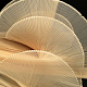 photo-2985689