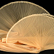 photo-2985692