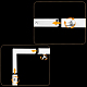photo-2991910